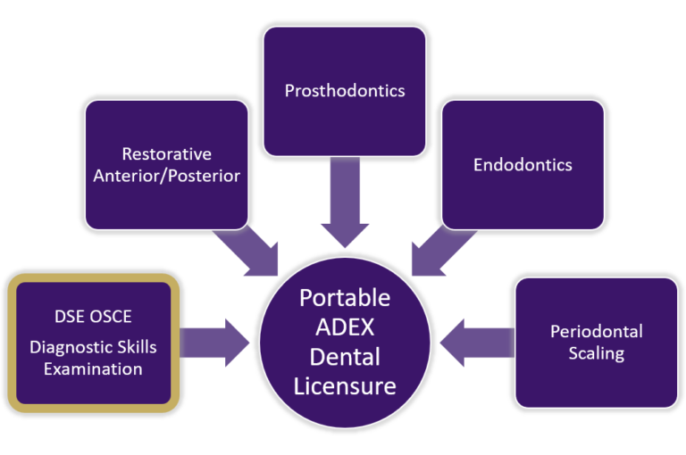 Dental (ADEX) CDCA